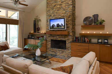 Living room - living room idea in Minneapolis