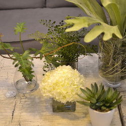 Decor & Accessories - Decorative Accents