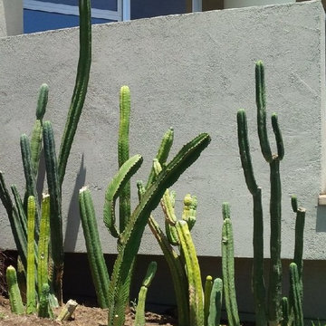 Laguna Beach