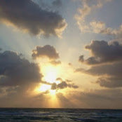Photo de Dina McDermott