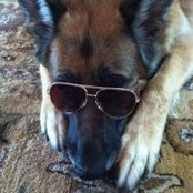 Foto von Mary Karian