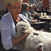 Inge Meiers's photo