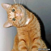 Michelle Kellogg's photo