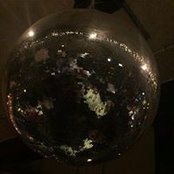Lawrence DiCarlo's photo