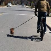 Mathieu Tanguay's photo