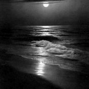 Norman Petri's photo