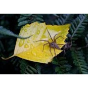 Maryellen Snyder's photo
