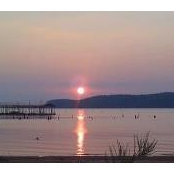 Anita Raglin's photo
