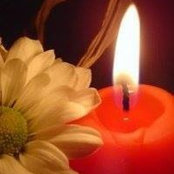 Behnaz Rahbar's photo