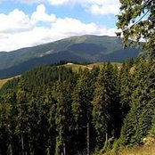Daniela Porcescu's photo