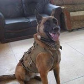 James Harrington's photo