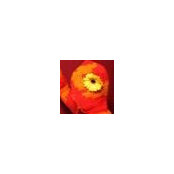 S Berman's photo