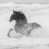 Aline Pfister's photo