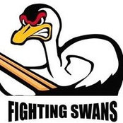 Stuart Swans foto