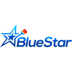 Blue Star Painting, LLC