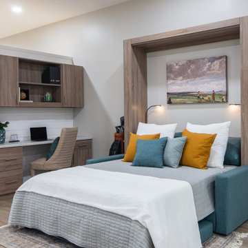 SOFA AND MURPHY BED