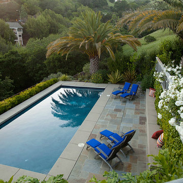 San Anselmo Hillside