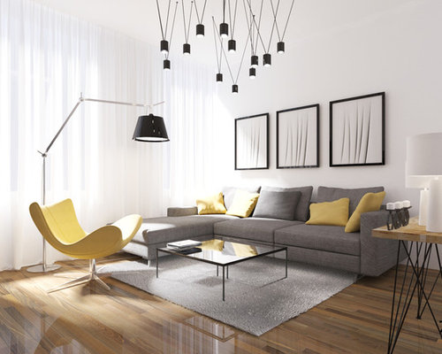 Best Modern Living Room Design Ideas & Remodel Pictures | Houzz  