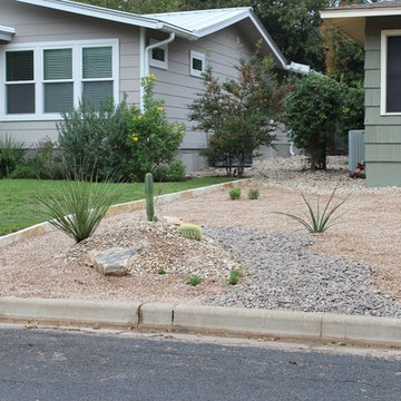 Cacti Paradise