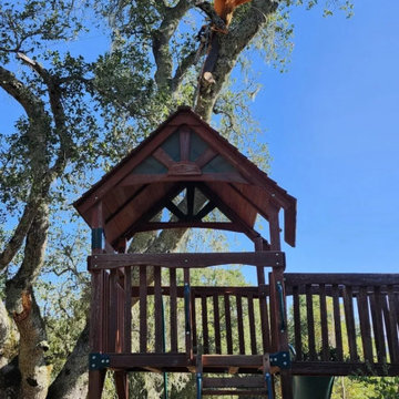Greenview Tree Care