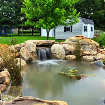 Building a Small Backyard Pond