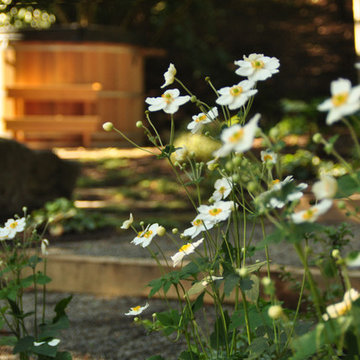 Japanese Anenomes, Hot Tub