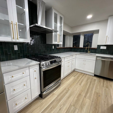 Luong Kitchen Remodel