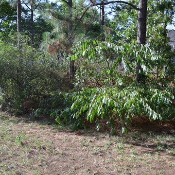 Back Yard Before Landscaping Began