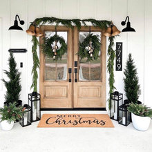 Christmas at the lake