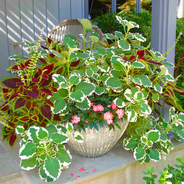 Container Gardens