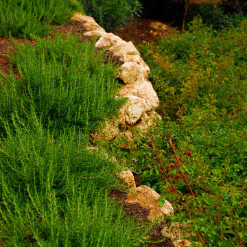 Mediterranean Estate Garden