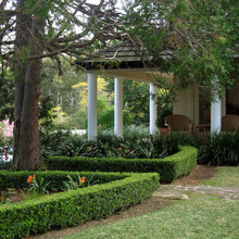 hedge