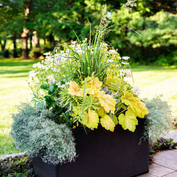 Pondside Garden Living