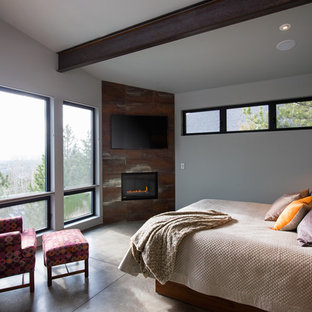 Großes Modernes Hauptschlafzimmer mit grauer Wandfarbe, Betonboden, Kaminumrandung aus Metall und Eckkamin in Sonstige