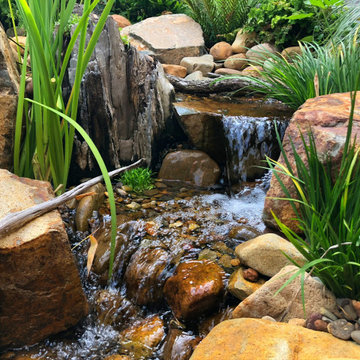 Ecosystem Koi Pond - The Hill, Newcastle NSW