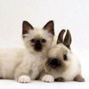 Sue Bee's photo