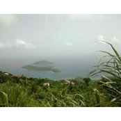 Catherine Burzio's photo
