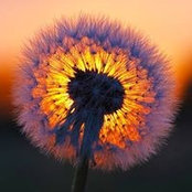 Candis Batey's photo