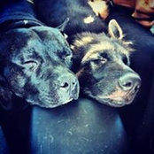 Chrissy Kamish's photo