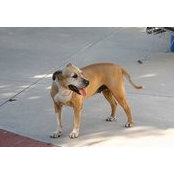 L Tude's photo