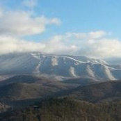 Travis Young's photo