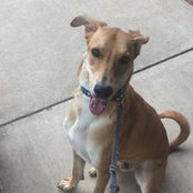 Jaxson Daniels's photo