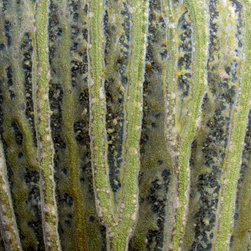 Jar 003 Detail - Artwork