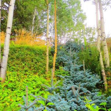 Sculpture Garden-Previous and Current Work