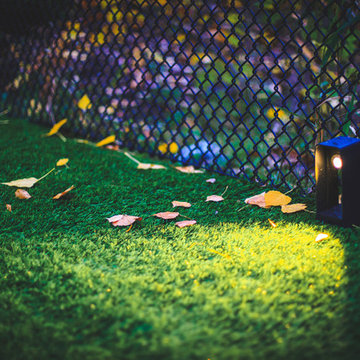 Landscape Lighting