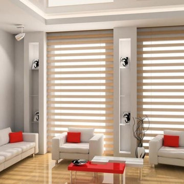 Zebra Blinds
