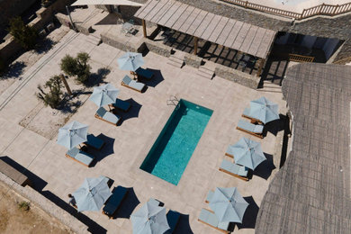 Modelo de piscina alargada actual grande rectangular en patio con paisajismo de piscina y suelo de baldosas