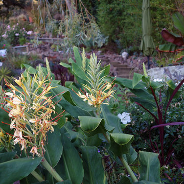 Hillside Landscape Sanctuary in Northern California