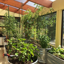 greenhouse