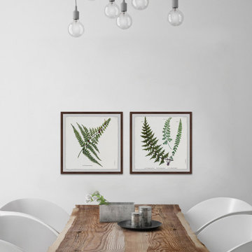 Fern Leaves Diptych